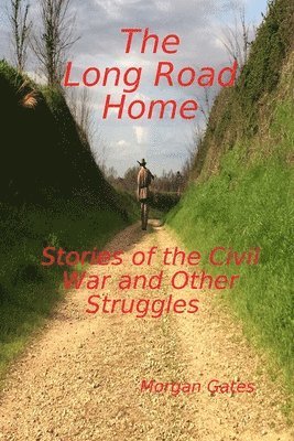 bokomslag Long Road Home Stories of the Civil War and other Struggles