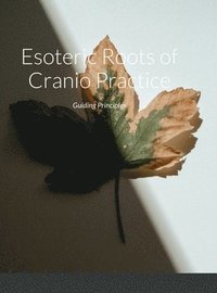 bokomslag Esoteric Roots of Cranio Practice