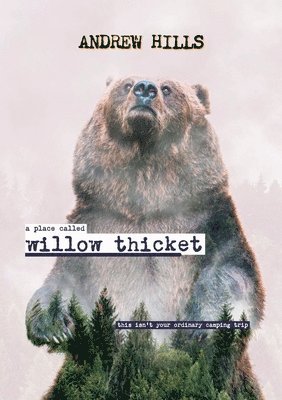 bokomslag A Place Called Willow Thicket - Soft Cover