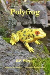 bokomslag Polyfrog