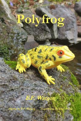 bokomslag Polyfrog