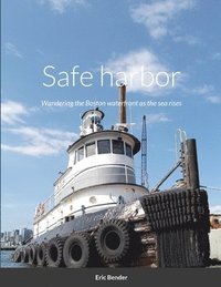 bokomslag Safe harbor