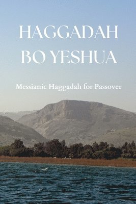 bokomslag Haggadah Bo Yeshua