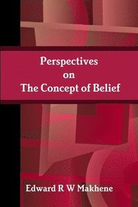 bokomslag Perspectives on the Concept of Belief