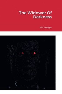 bokomslag The Widower Of Darkness
