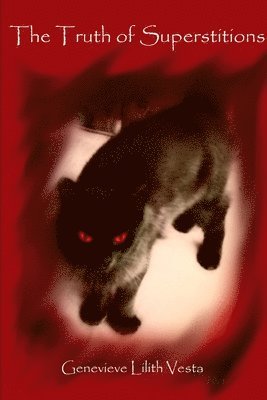 bokomslag Truth of Superstitions