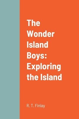 bokomslag The Wonder Island Boys