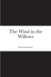 bokomslag Wind in the Willows
