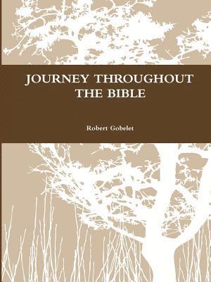 bokomslag Journey Throughout the Bible