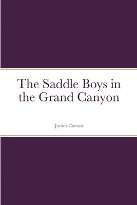 bokomslag Saddle Boys in the Grand Canyon