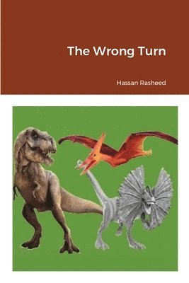 Hassan Rasheed - Wrong Turn, Häftad