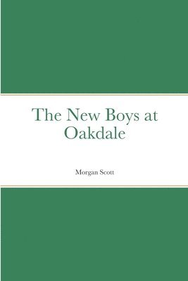 bokomslag The New Boys at Oakdale