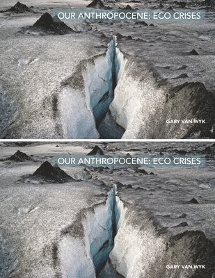 Our Anthropocene 1