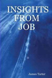 bokomslag Insights from Job