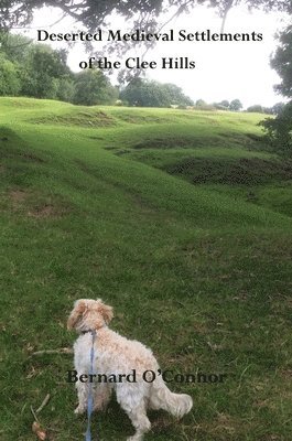 bokomslag Deserted Medieval Settlements of the Clee Hills, Shropshire