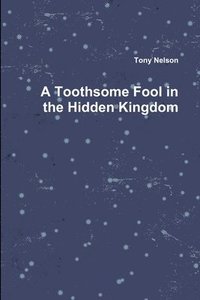 bokomslag A Toothsome Fool in the Hidden Kingdom