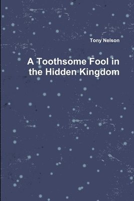 bokomslag A Toothsome Fool in the Hidden Kingdom