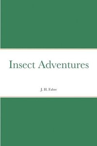 bokomslag Insect Adventures