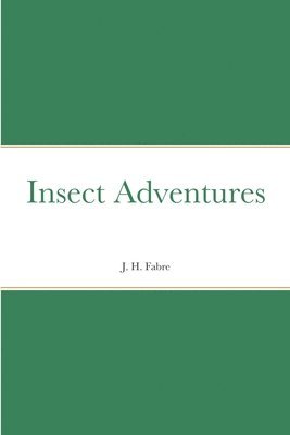 Insect Adventures 1