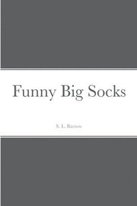 bokomslag Funny Big Socks