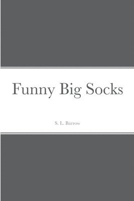 bokomslag Funny Big Socks