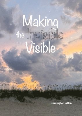 Making the Invisible Visible 1