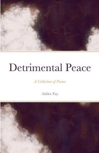 bokomslag Detrimental Peace