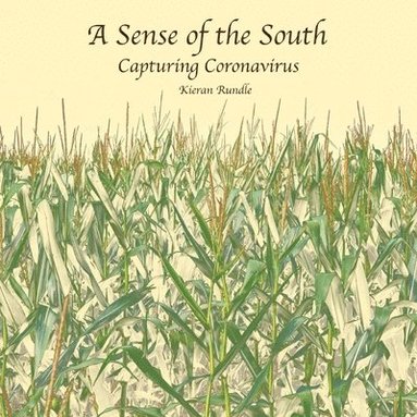 bokomslag Sense of the South