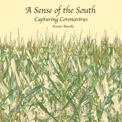 A Sense of the South 1