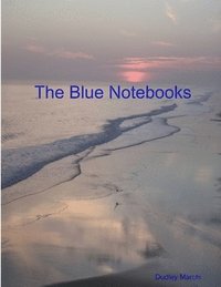 bokomslag The Blue Notebooks