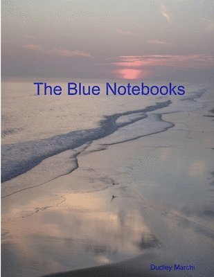 bokomslag Blue Notebooks