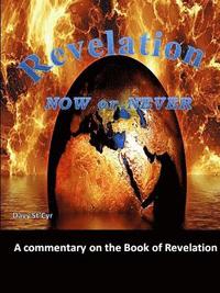 bokomslag Revelation Now Or Never