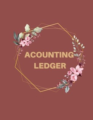 Accounting Ledger 1