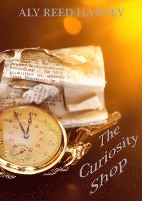 The Curiosity Shop 1