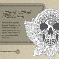bokomslag Sugar Skull Illustrations