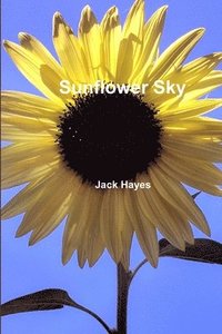 bokomslag Sunflower Sky