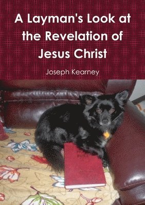 bokomslag A Layman's Look at the Revelation of Jesus Christ