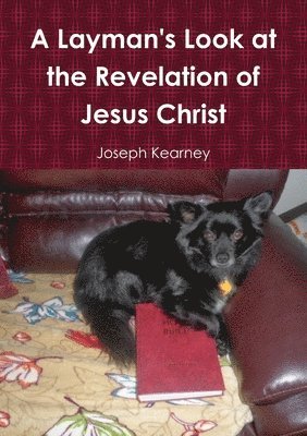 A Layman's Look at the Revelation of Jesus Christ 1