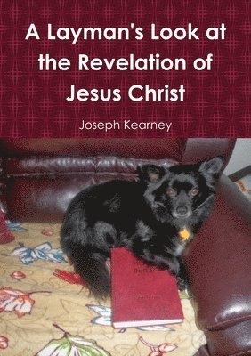Layman's Look at the Revelation of Jesus Christ