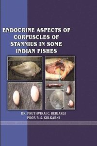 bokomslag Endocrine Aspects of Corpuscles of Stannius in Some Indian Fishes