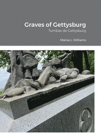 bokomslag Graves of Gettysburg