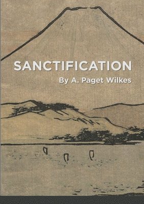 bokomslag Sanctification