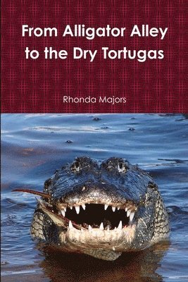 bokomslag From Alligator Alley to the Dry Tortugas