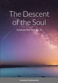 bokomslag The Descent of the Soul