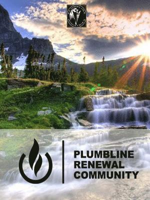 bokomslag Plumbline Renewal Leaders Guide