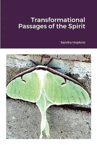 bokomslag Transformational Passages of the Spirit