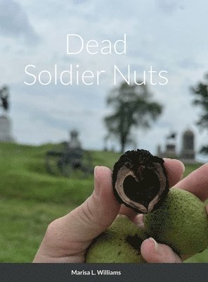 bokomslag Dead Soldier Nuts