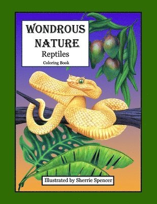 bokomslag Wondrous Nature Reptiles