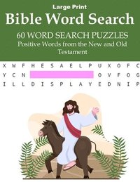 bokomslag Bible Word Search