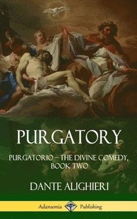 bokomslag Purgatory